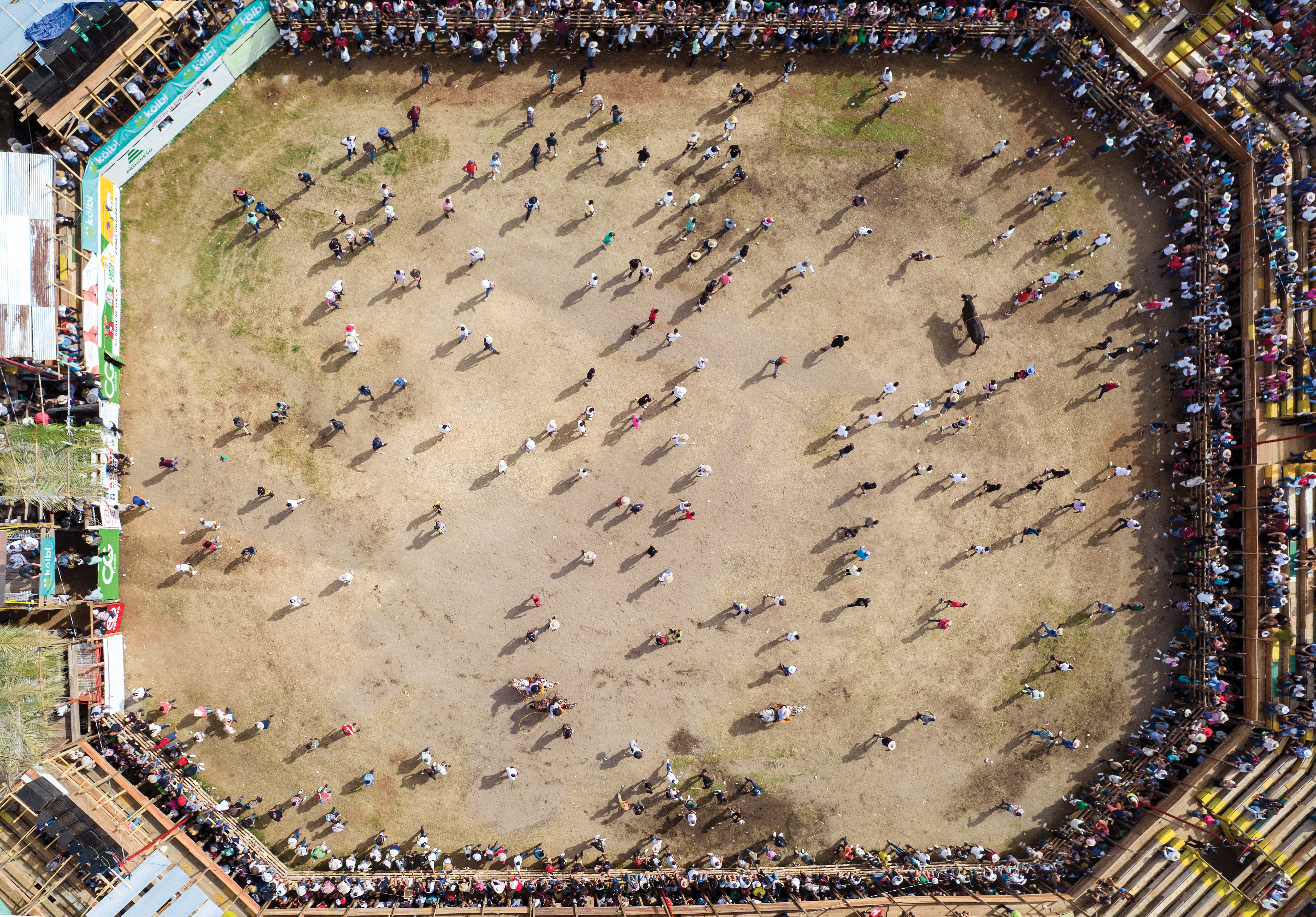 DJI_0218
