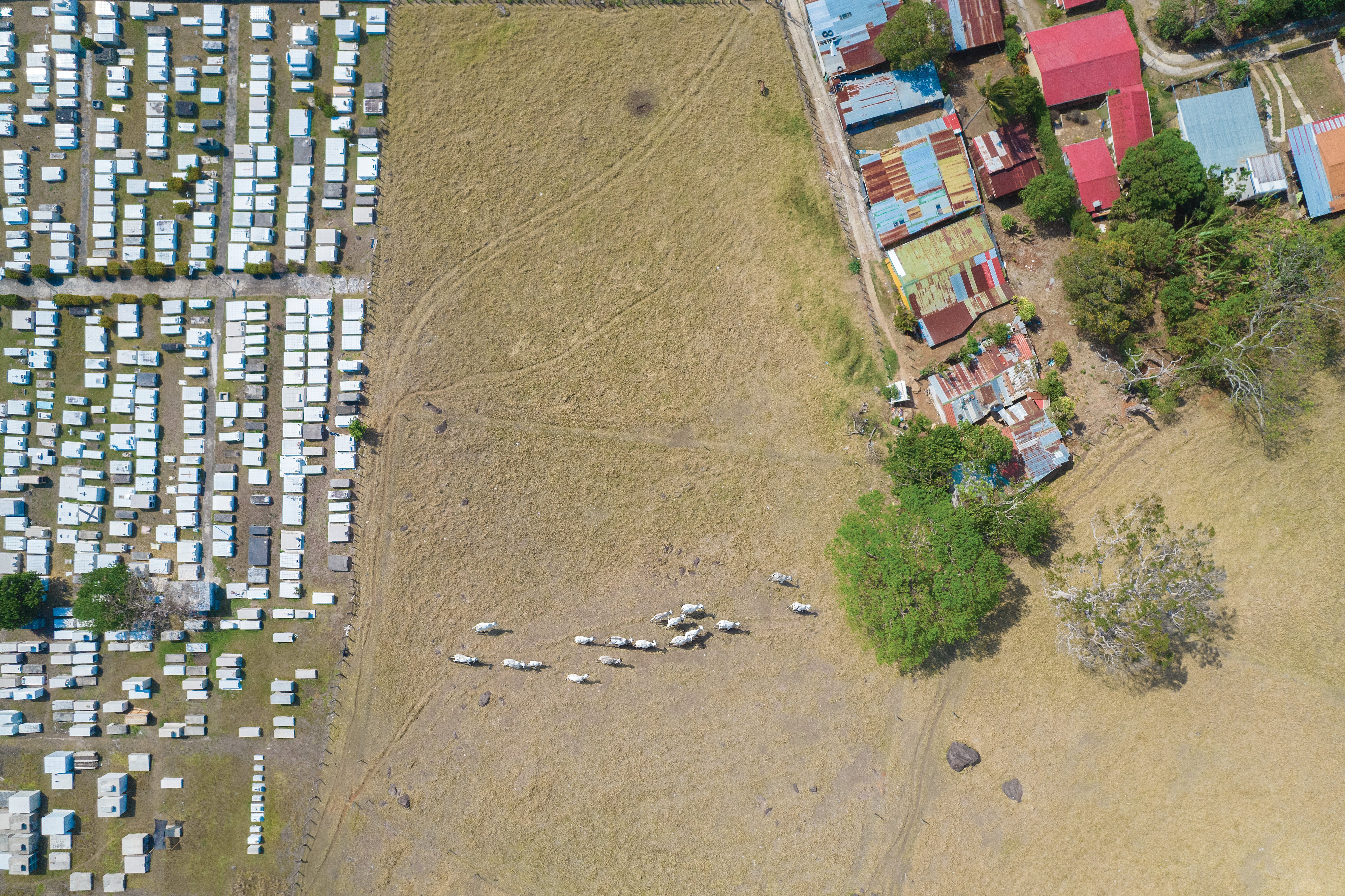 DJI_0913-1
