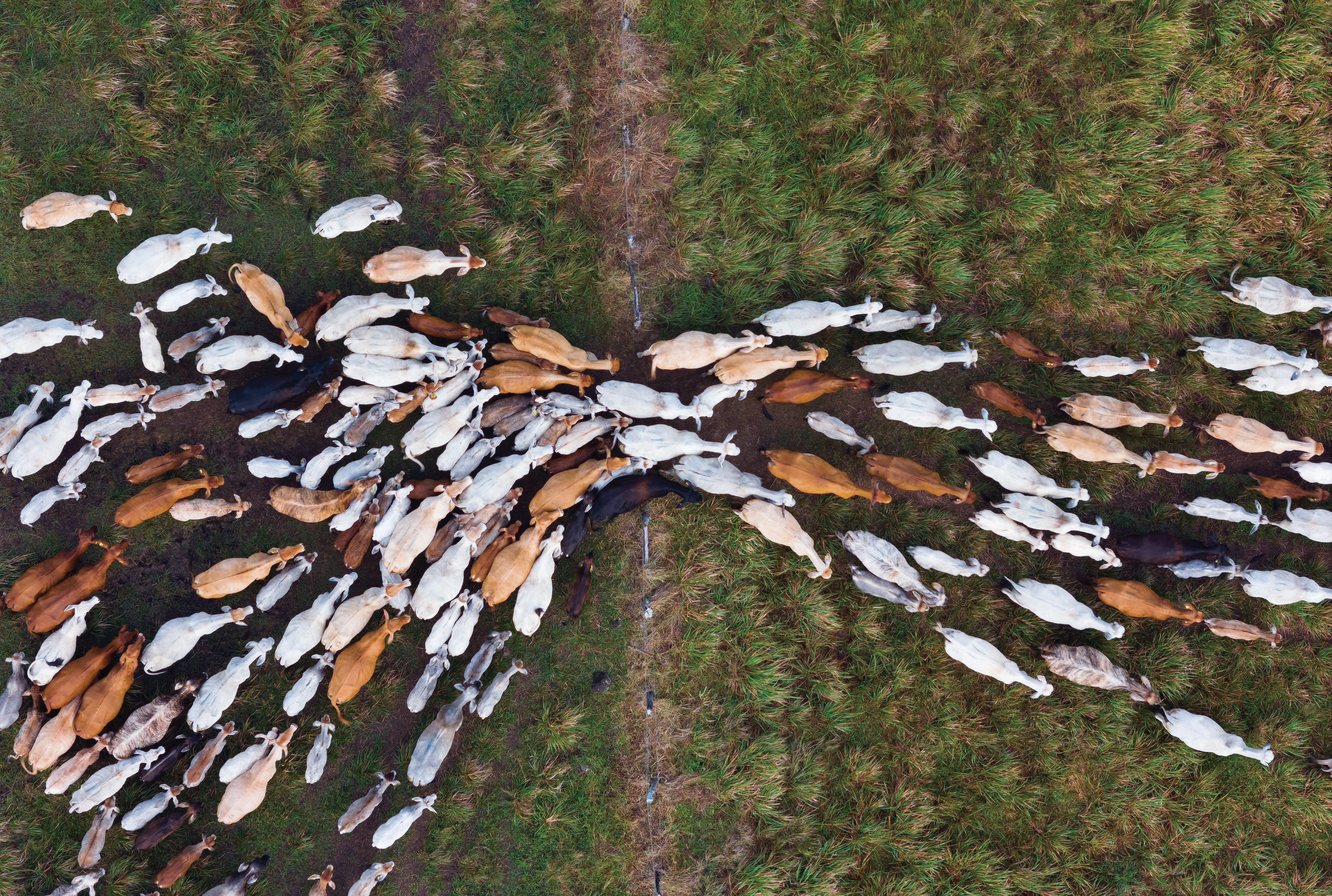DJI_20251213065721_0552_D_GP
