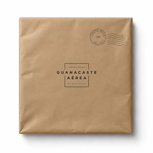 Pucci-GuanaAérea-LibroEnvuelto Pucci-GuanaAérea-LibroEnvuelto