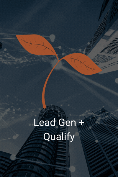 Lead Gen + Qualify (1)